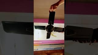 Crompton Super Briz Deco 600MM Ceiling Fan #shorts #superbrizdeco #shortsfeed #shortsyoutube