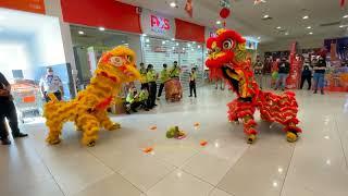 Pre-CNY 2023 - 雪州德藝龍獅體育會 Selangor Teck Ngai at AEON BIG BUKIT RIMAU