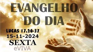 EVANGELHO DO DIA 15/11/2024  Lc 17,26-37  HOMILIA DIÁRIA DE HOJE LITURGIA DIÁRIA eVIVA