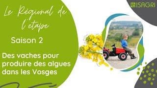#LeRegionaldelEtape - Saison 2 - Des vaches pour produire des algues dans les Vosges