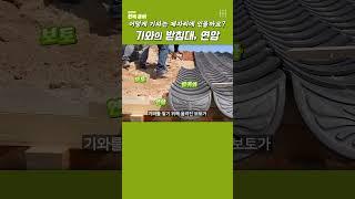 어떻게 기와는 제자리에 있을까요? #hanok #한옥공사 #한옥 연암(3)