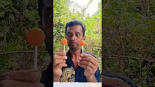 Fun Lollipop taste 