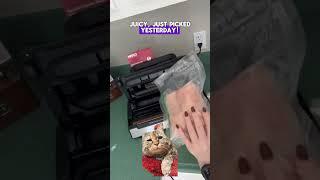 Seal Your Meals Like a Pro with Nesco VS-12!  #shorts #short #shortvideo #shortsfeed #musthaves