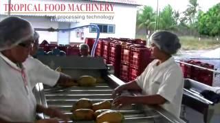 TFM - Multifruit Line: papaya processing 3 tons/h