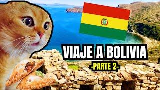 VIAJE A BOLIVIA , parte 2 (meme de gatos)