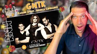 (RNH Series 2) GNTK - Raízes (Feat. Jessica Cipriano) Reaction