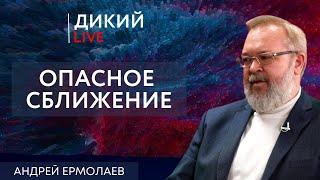 Началось, или Отвергая очевидное. Андрей Ермолаев. Дикий LIVE.