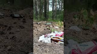 Давайте просто начнём есть свинину, каннибализм меньшее зло... #экология #природа #мусор #свиньи
