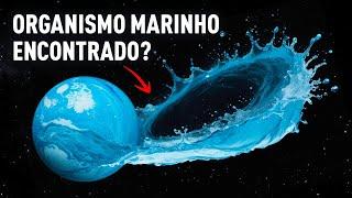 OCEANO voador avistado no espaço - Será que acabamos de encontrar ALIENS DO MAR?