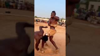 Garkuwan yahaya brutal knockout #sports #africanknockout #boxingevent #dambe #shorts