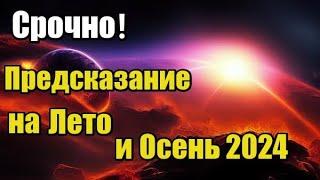 НОВЫЙ Прогноз на Лето и Осень 2024