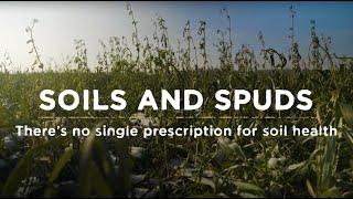 Soils and Spuds: There's no single prescription for soil health