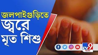 জলপাইগুড়িতে মাত্র কয়েক ঘণ্টায় মৃত শিশু, কী বলছেন চিকিৎসকরা? | Jalpaiguri | Japanese Encephalitis