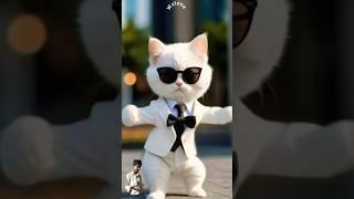 cat comedian dance 🪩🩰1000 million video #yellowcat #funny #catvideos #cat#kucing #shortvideo