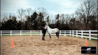 Violet (4/10/24). Groundwork circles!