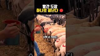 "수백 년 된 기술이 지금도 쓰인다 ️"