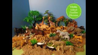 Wildlife Animal Families Diorama With Baby Animals - Learn Animal Names