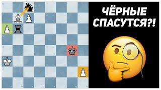 Как побороть бешенную ладью. Рейно Хейсканен, 1965 год Юбилей конкурс 60-летия Виса Киви. Этюд