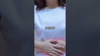 The Science Behind Gut Feelings – Is Your Stomach Smarter Than You Think?