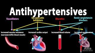 Antihypertensive Medications - Pharmacology, Animation