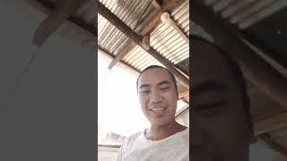 NAKAWIN ANG PATO NI BELONG (LT Vlog)