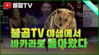 불곰tv 해적단 따까리 두두둥장! 문의 까톡 gabin1212 텔레 minsa1212 #실시간바카라 #바카라분석 #에볼루션바카라 #바카라수익