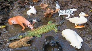 Muddy Zoo Animal Toys Getting Washed for Kids