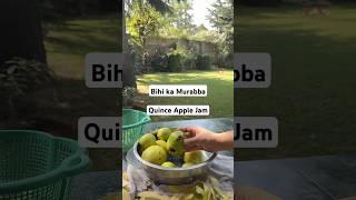 BIHI/QUINCE APPLE MURABBA