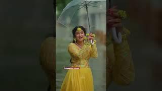 Siragadikka asai serial actor vetri vasanth vaishnavi wedding viral video #shorts #video #reels