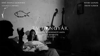 Henri Gonzo és a Papírsárkányok ︎ Tv Hangyák (Official Video Clip)