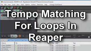 Loop Tempo Matching in Reaper