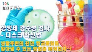 항생제 감수성 검사(Antibiotic sensitivity test) 1부 - 디스크 확산법 실험과정, 천연항균제 실험