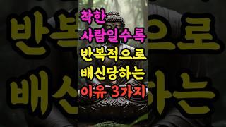 "착한 사람일수록 반복적으로 배신당하는 이유 3가지" #부처님말씀 #불교명언 #삶의지혜 #인생조언 #처세술 #감정정화 #불교지혜 #마음공부 #인간관계 #오디오북
