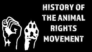 A Brief History Of The Animal Rights Movement