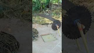 Create Amazing Bird Trap Technique - Quail Trap #creative bird trap #shorts