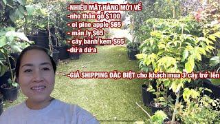 Nhieu mặt hàng mới về trong tuần , Gia shipping đặc biệt mua 3 cây trở lên
