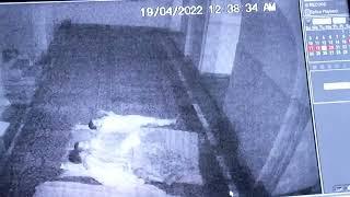 jinn caught in camera beating a student at night in a Madarsa...