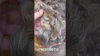 Светло-серый козий пух руном.цена за 100 грамм 430 руб +79030300712