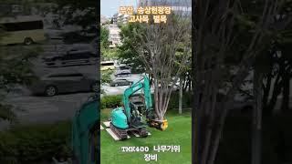#부산  대표 #시민공원 #송상현 #잔디광장 #고사목 #느티나무 #벌목 정비 #부산 굴삭기 #벌목나무가위  #특수장비 # TMK400 #부산시설공단