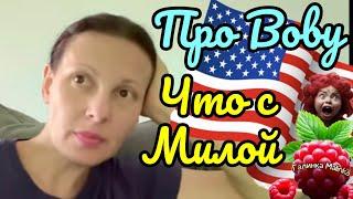 Big Big Family in the USA /Про Вову / Что с Милой /Обзор /Жизнь в Америке /США Vlog