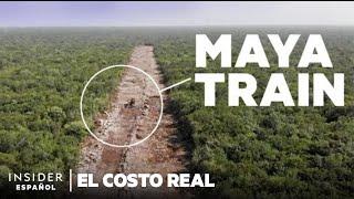 Un tren enorme está talando la selva. ¿Vale la pena? | El costo real