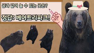 곰이랑 단풍 보러 세종 "베어트리파크" 다녀왔습니다!!! [[[곰이 무려 100마리?!]]]