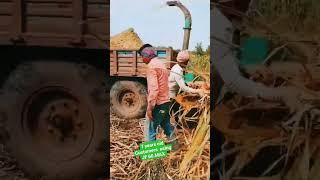 JF60MAX Chaff Cutter 7 year old customer video #maizesilage #sugercane_cutting #old customer #jf60ma