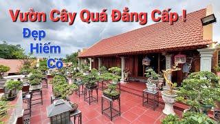 SÂN CÂY ĐẲNG CẤP * ĐẸP NHƯ CHỐN HOÀNG CUNG * của em ĐOÀN - Thủy Nguyên - Hải Phòng .