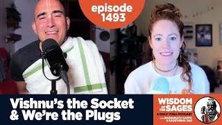 1493: Vishnu's the Socket and We're the Plugs