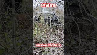 VW Beetle Found Abandoned in the woods is this scrap? @VWFarm #classic #bug #vw