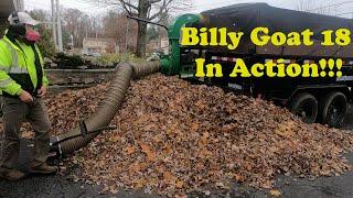 Billy Goat Leaf removal 2021