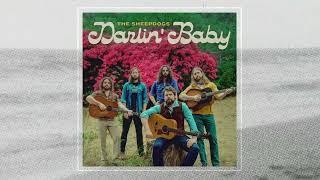 Darlin' Baby - The Sheepdogs (Visualizer)