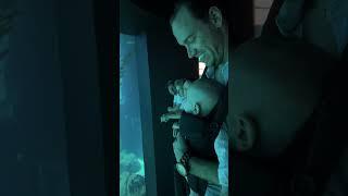 Pov: Es tu primera vez en un acuario