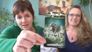 Animal Totem Tarot: Insights and a Reading